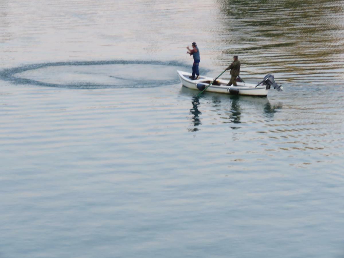 Alla Foce Del Magra - Appartamenti Sul Fiume Con Posto Barca Vicino Cinque Terre Амеля Екстериор снимка